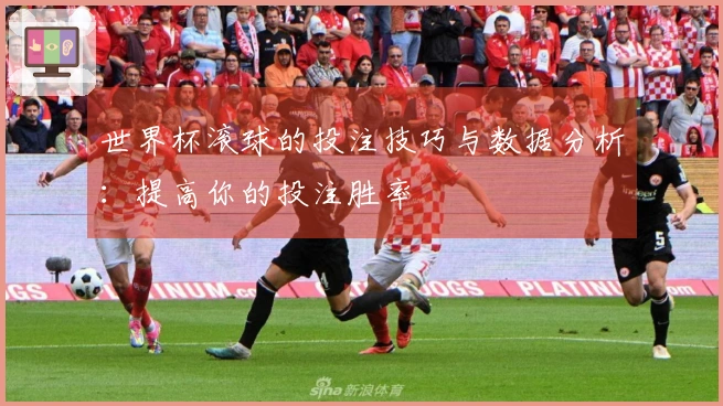 世界杯滚球的投注技巧与数据分析：提高你的投注胜率