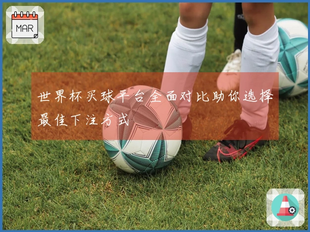 世界杯买球平台全面对比助你选择最佳下注方式