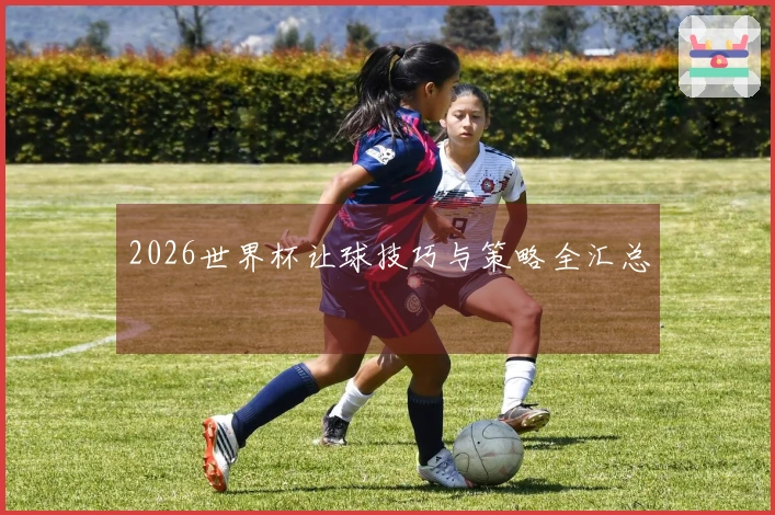 2026世界杯让球技巧与策略全汇总